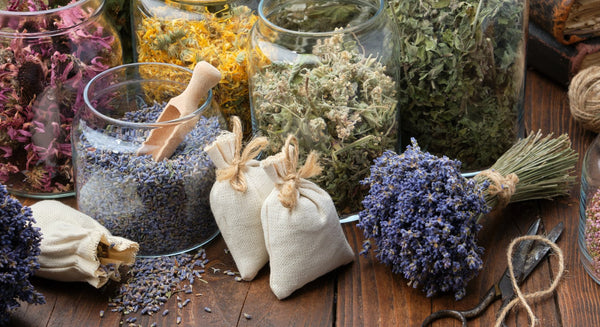 Five Herbs for Beginner Witches - East Meets West USA