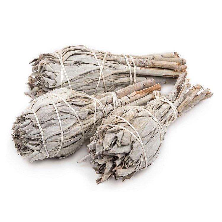 3 Pack White Torch Sage - East Meets West USA